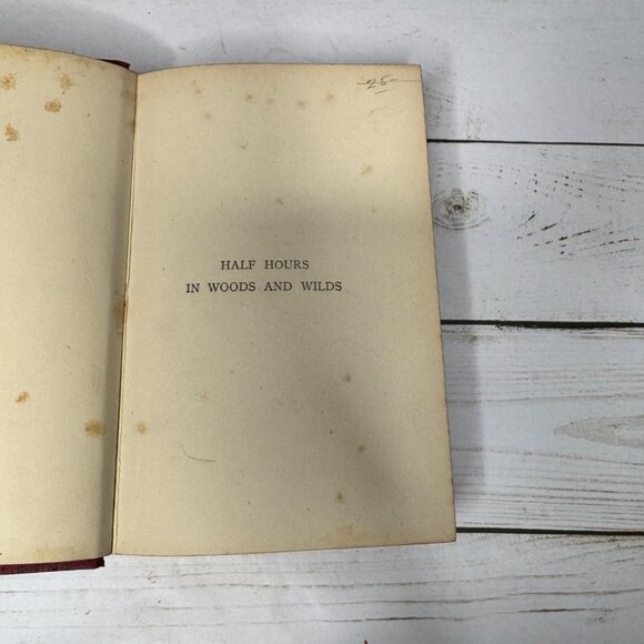 Half Hours in Woods and Wilds 1883 HC Wm. Isbister Leather Spine Gift - Picture 7 of 16